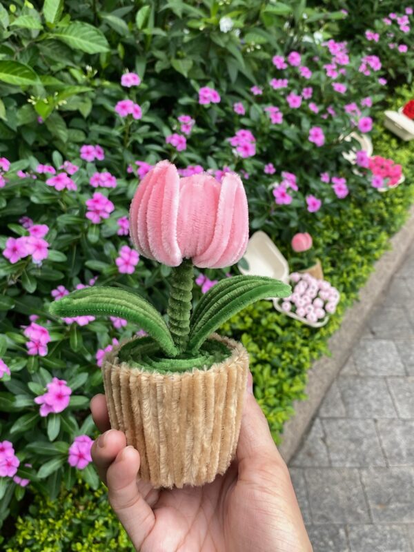 Hoa Tulip lông nhung mini